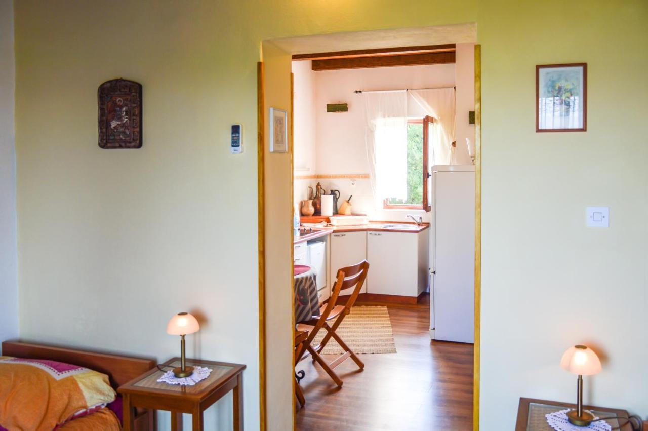 Apartment Zoja Pinezici  Exterior photo